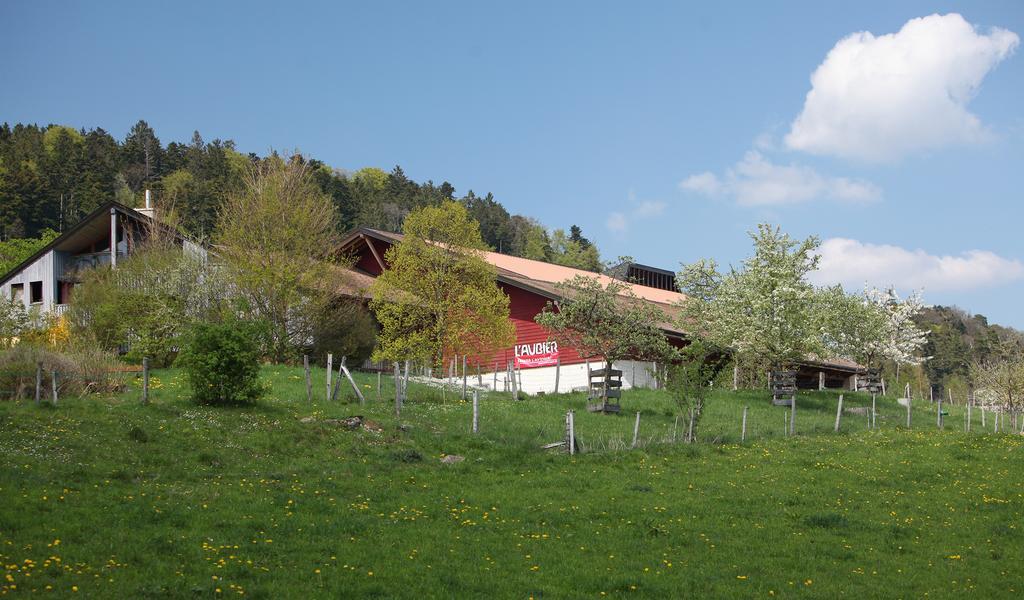 Ecohotel L'Aubier Montézillon Exterior foto